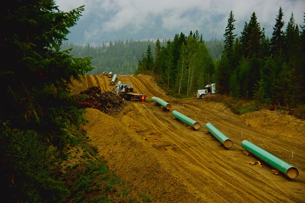 a forested hill cleared and leveled, long green pipes are on top of the dirt