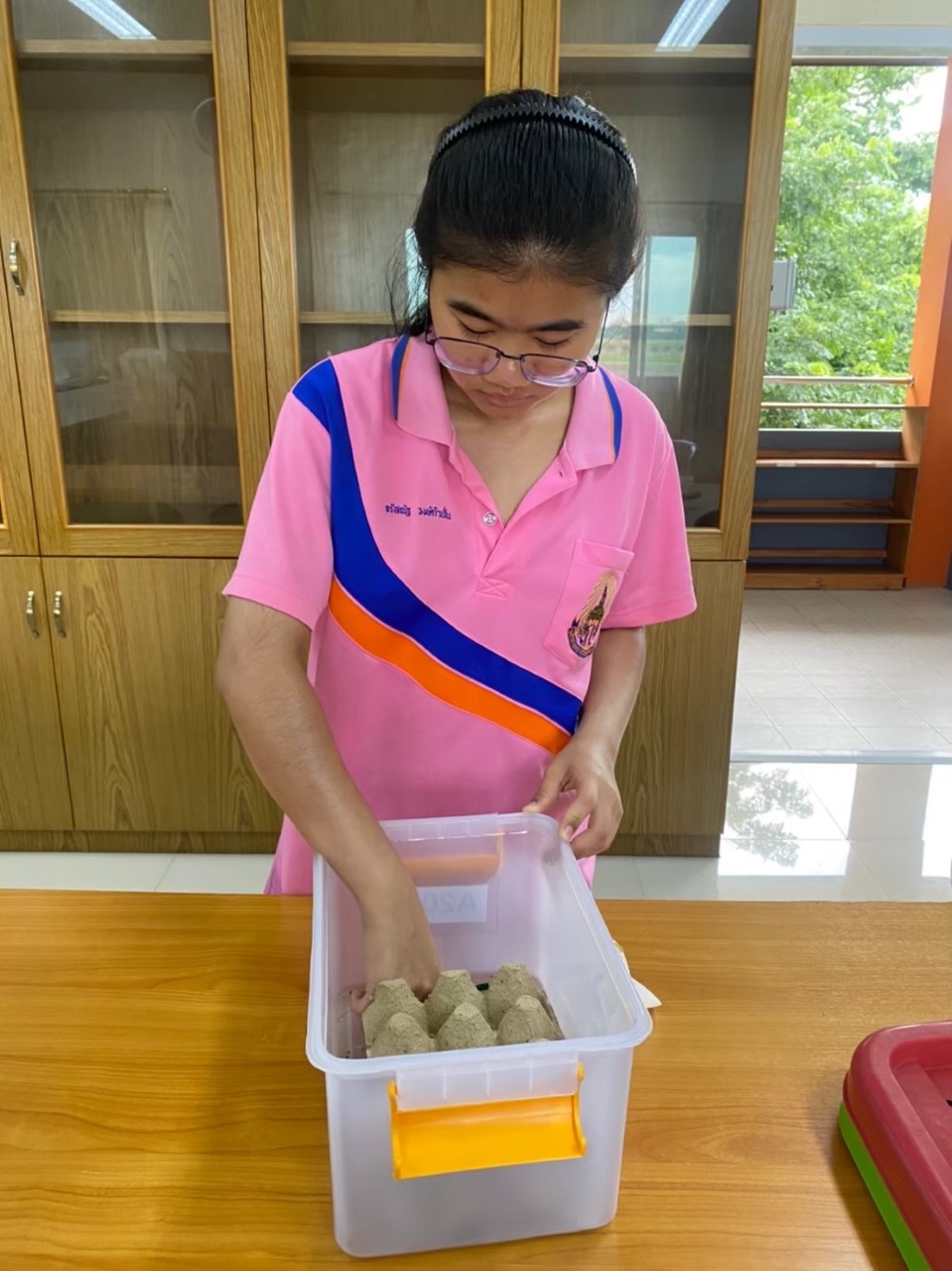 a girl wearing glasses and a pink shirt arranges an egg carton inside a plastic box